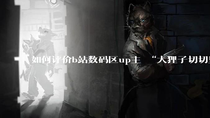 如何评价b站数码区up主 “大狸子切切里”?