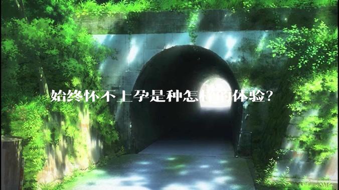 始终怀不上孕是种怎样的体验？