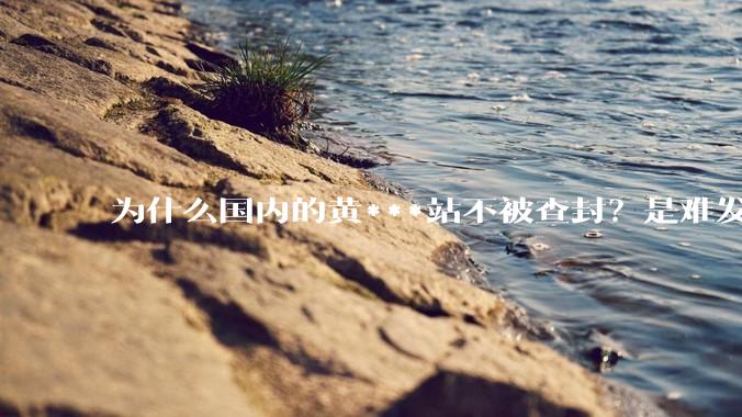为什么国内的黄***站不被查封？是难发现吗？
