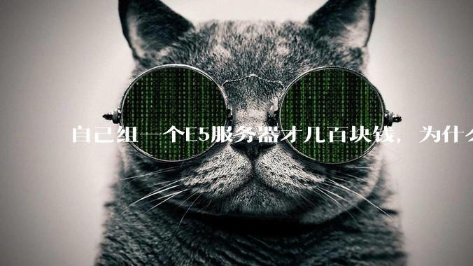 自己组一个E5服务器才几百块钱，为什么去阿里云租这么贵?
