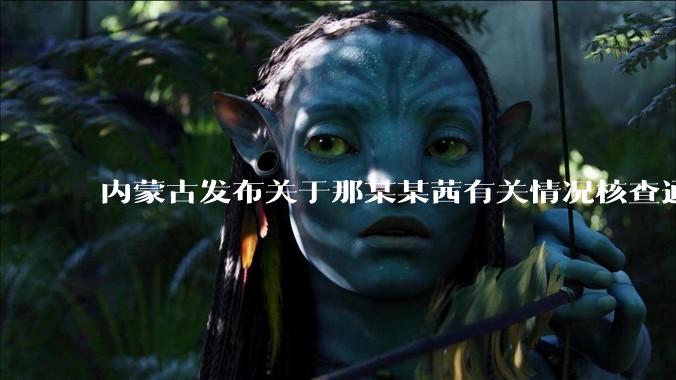内蒙古发布关于那某某茜有关情况核查通报，哪些信息值得关注？